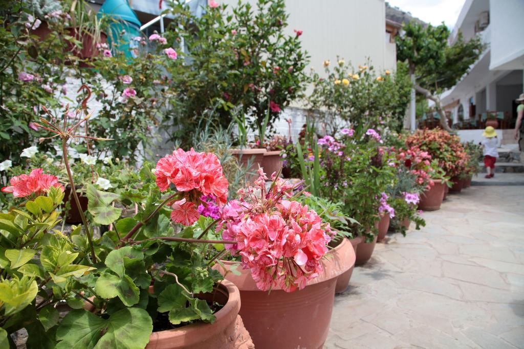 Paralia Guest House 아기아 루멜리 외부 사진