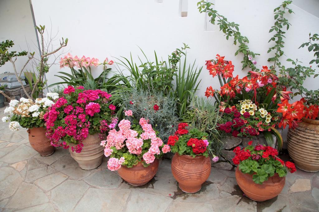 Paralia Guest House 아기아 루멜리 외부 사진