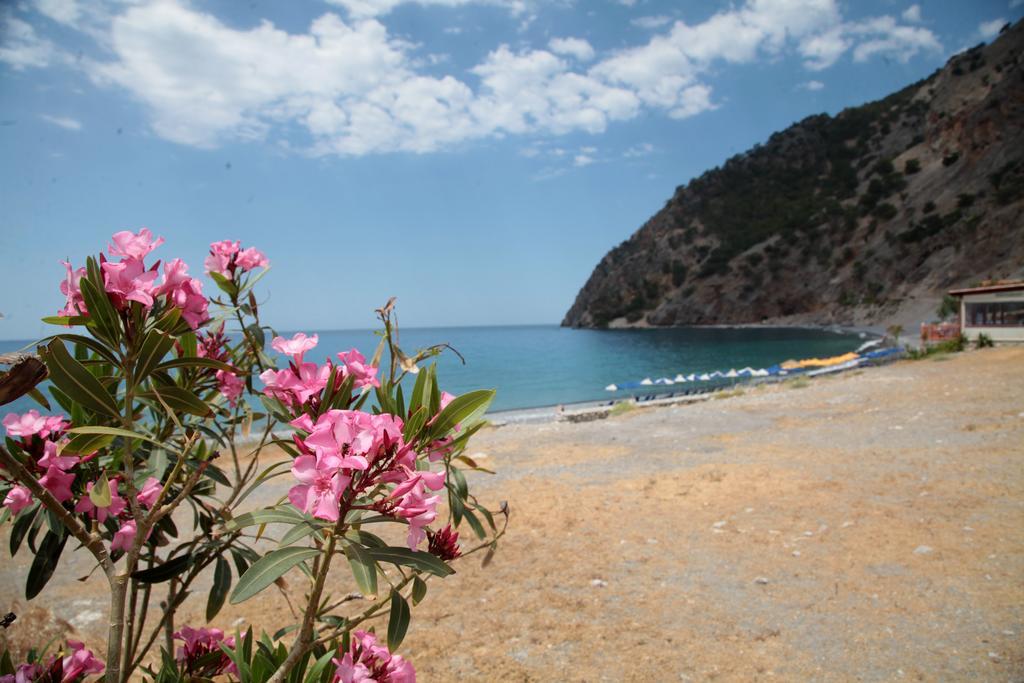 Paralia Guest House 아기아 루멜리 외부 사진